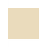 ColorWorks Premium Solid 9000 - 14 Ecru